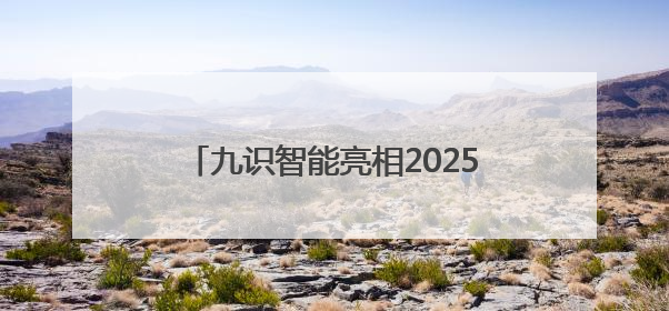 九识智能亮相2025廊坊经洽会：以技术革新推动智能物流产业升级